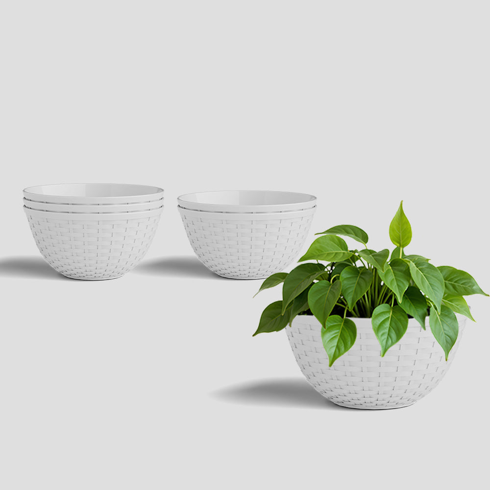 SHERA | CHICK KTR PLANTER