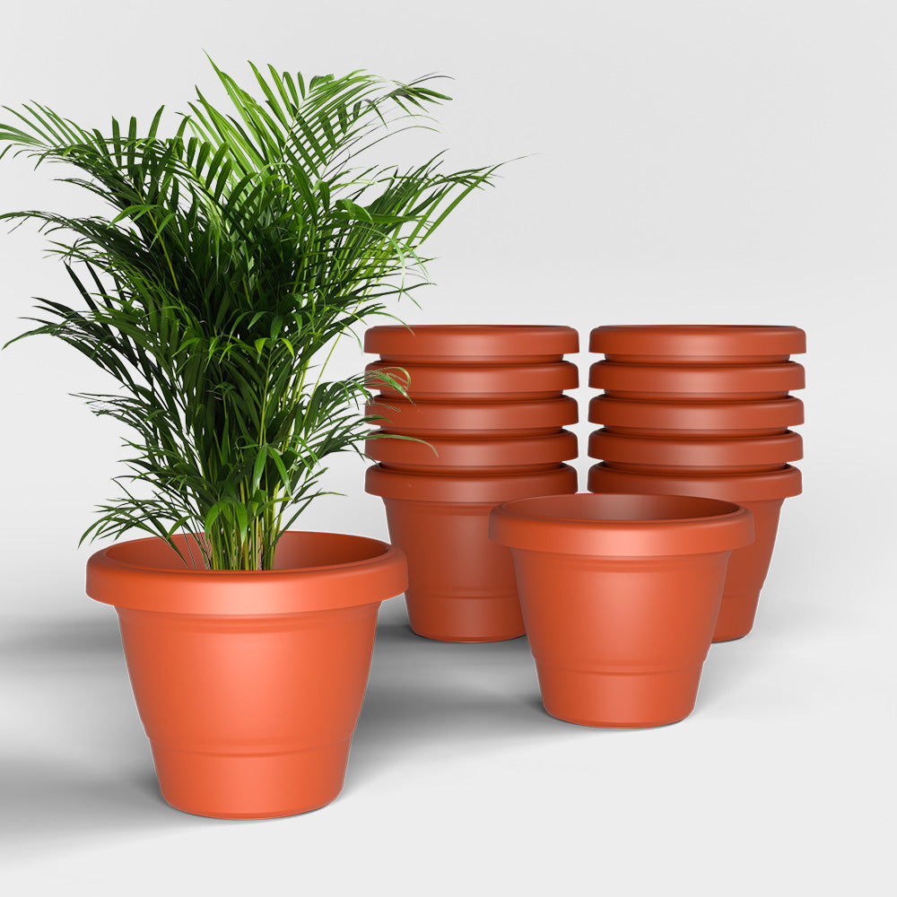 SHERA | SD PLANTER