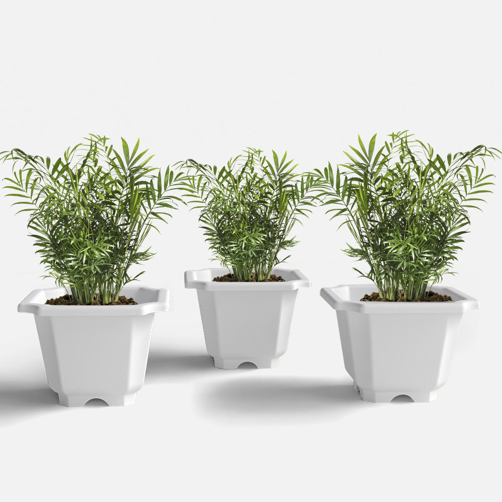 SHERA | OCTA PLANTER SET OF 3