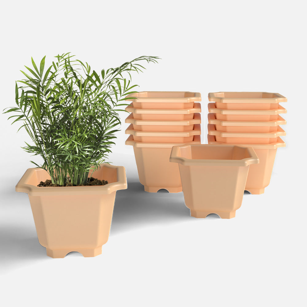 SHERA | OCTA PLANTER SET OF 12