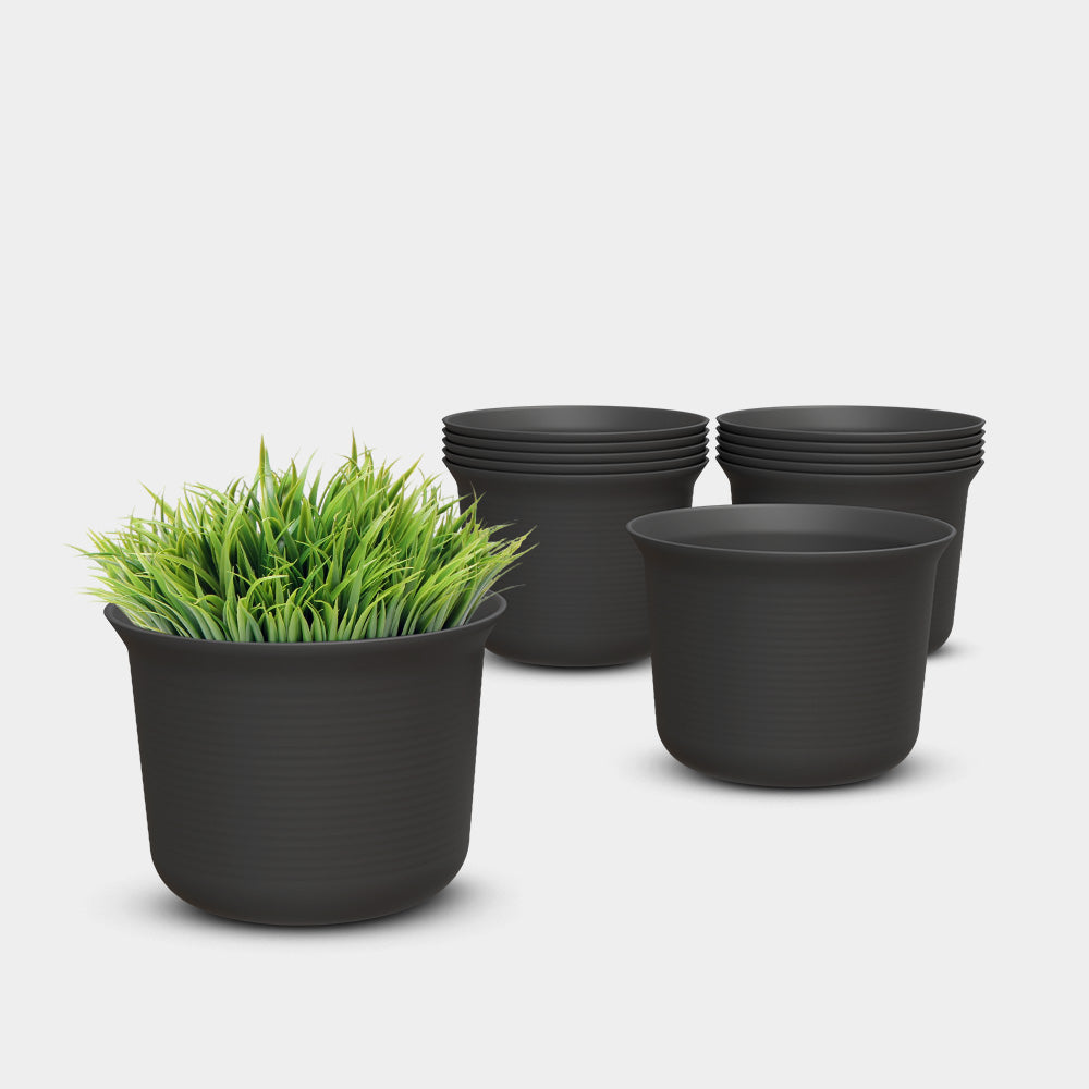 SHERA | FLORA PLANTER