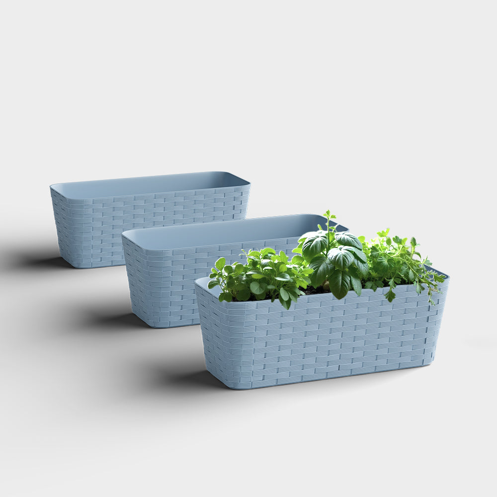 SHERA | RATTAN TRAY