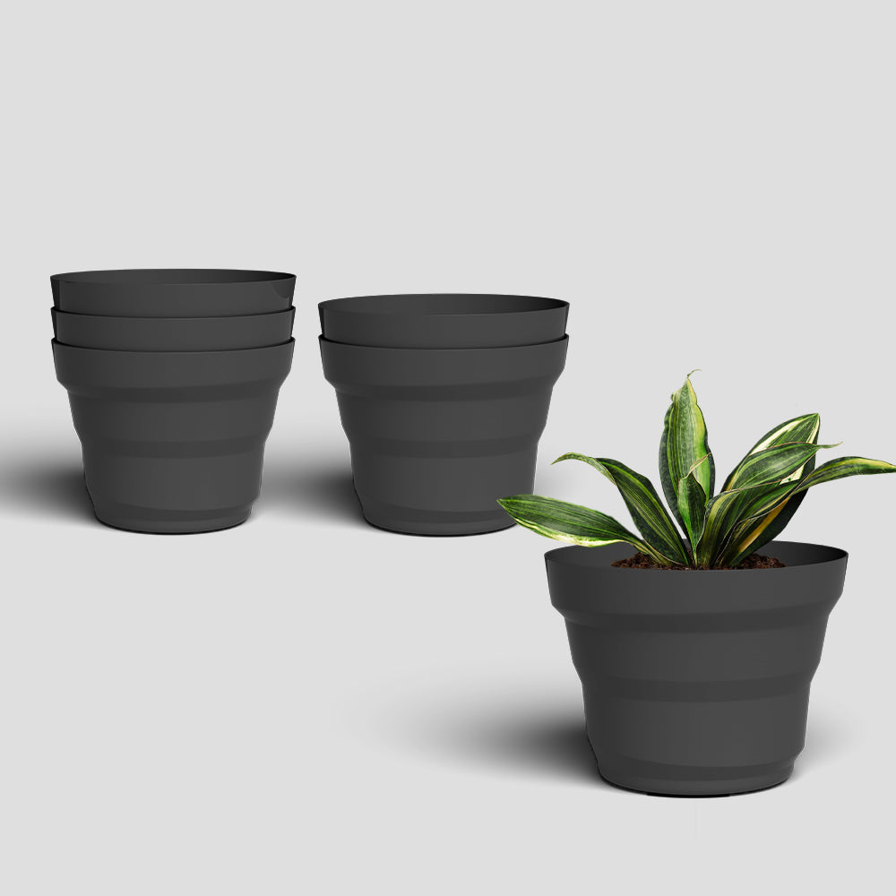 SHERA | RING PLANTER