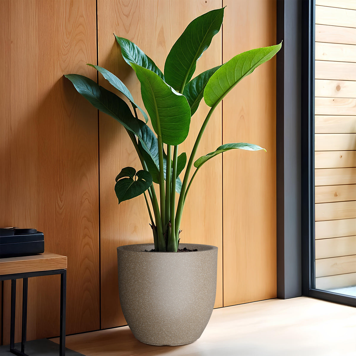 FOX B | P CUP PLANTER 6 INCH TO 15 INCH