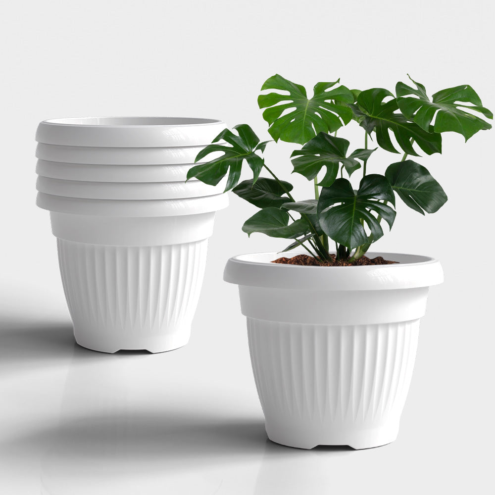SHERA | BLOOM PLANTER