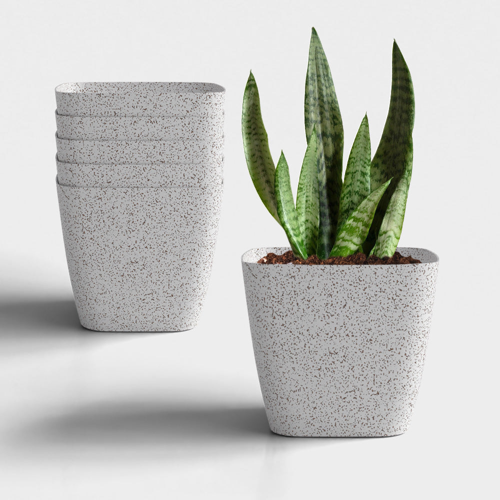 SHERA | STOIC PLANTER