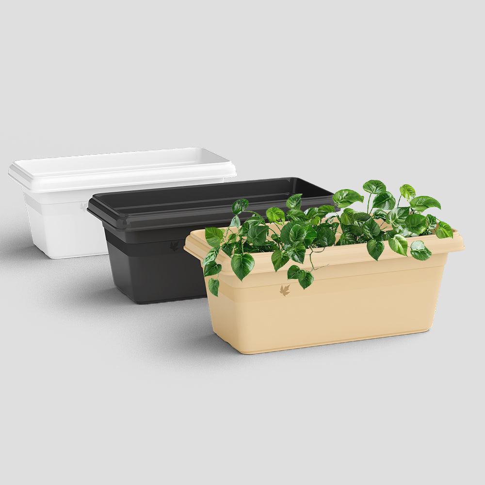 SHERA | TP PLANTER