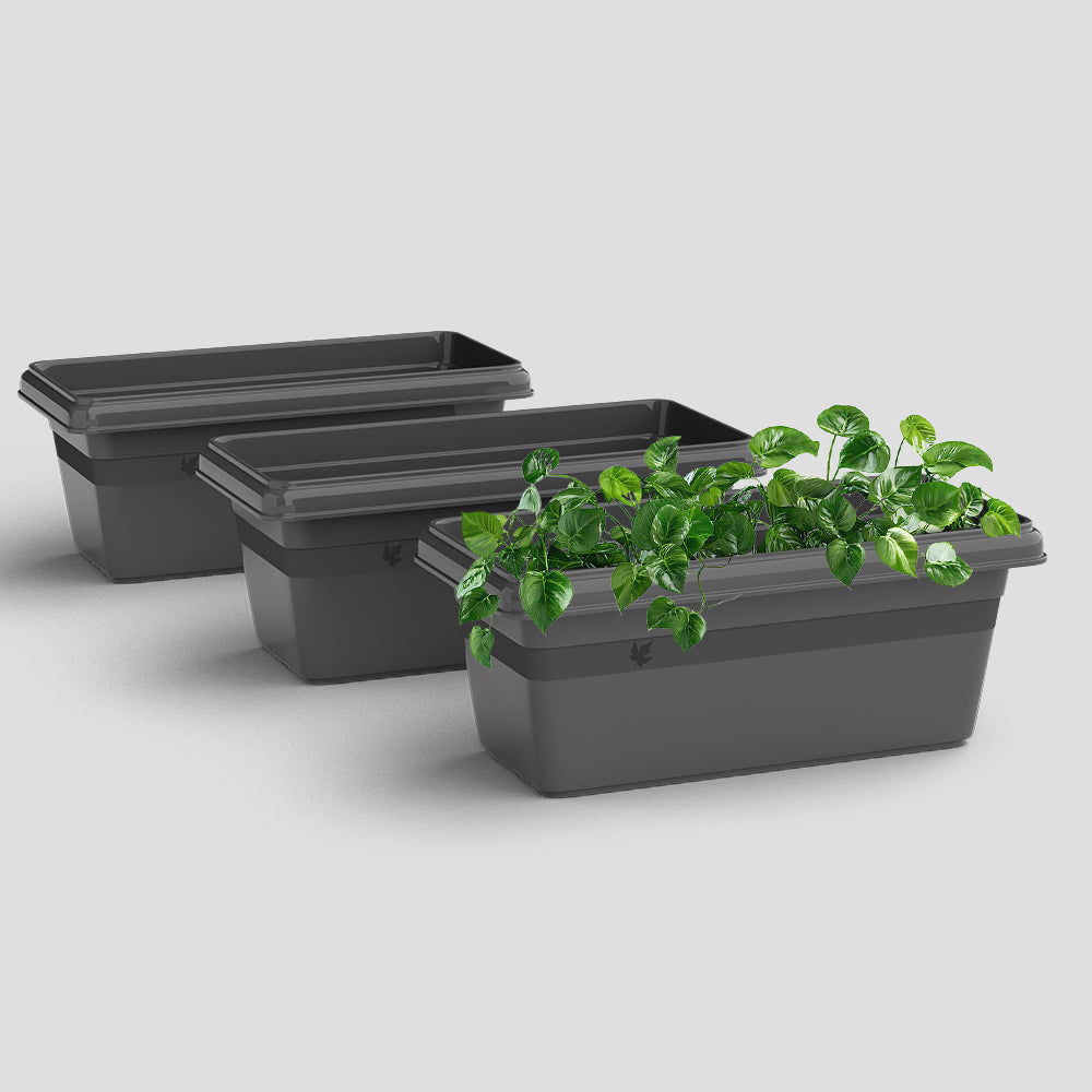 SHERA | TP PLANTER