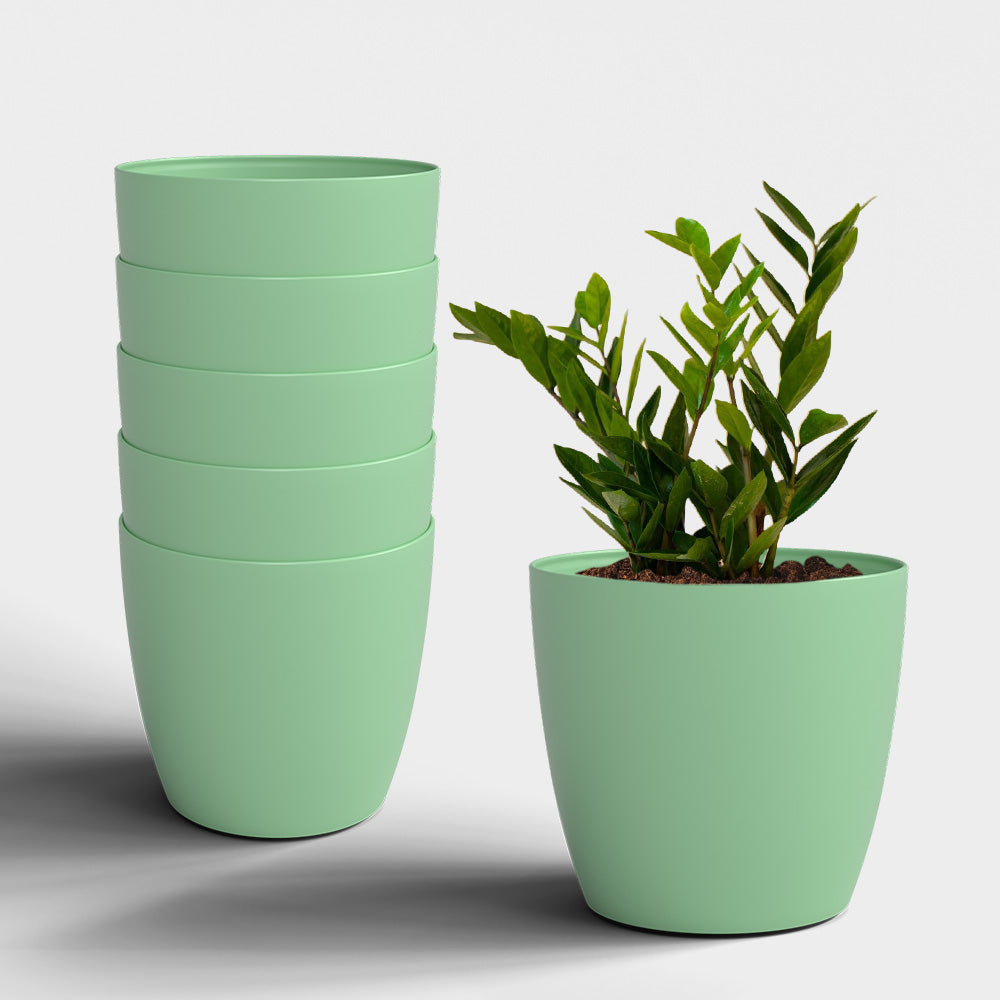 SHERA | STELLA PLANTER