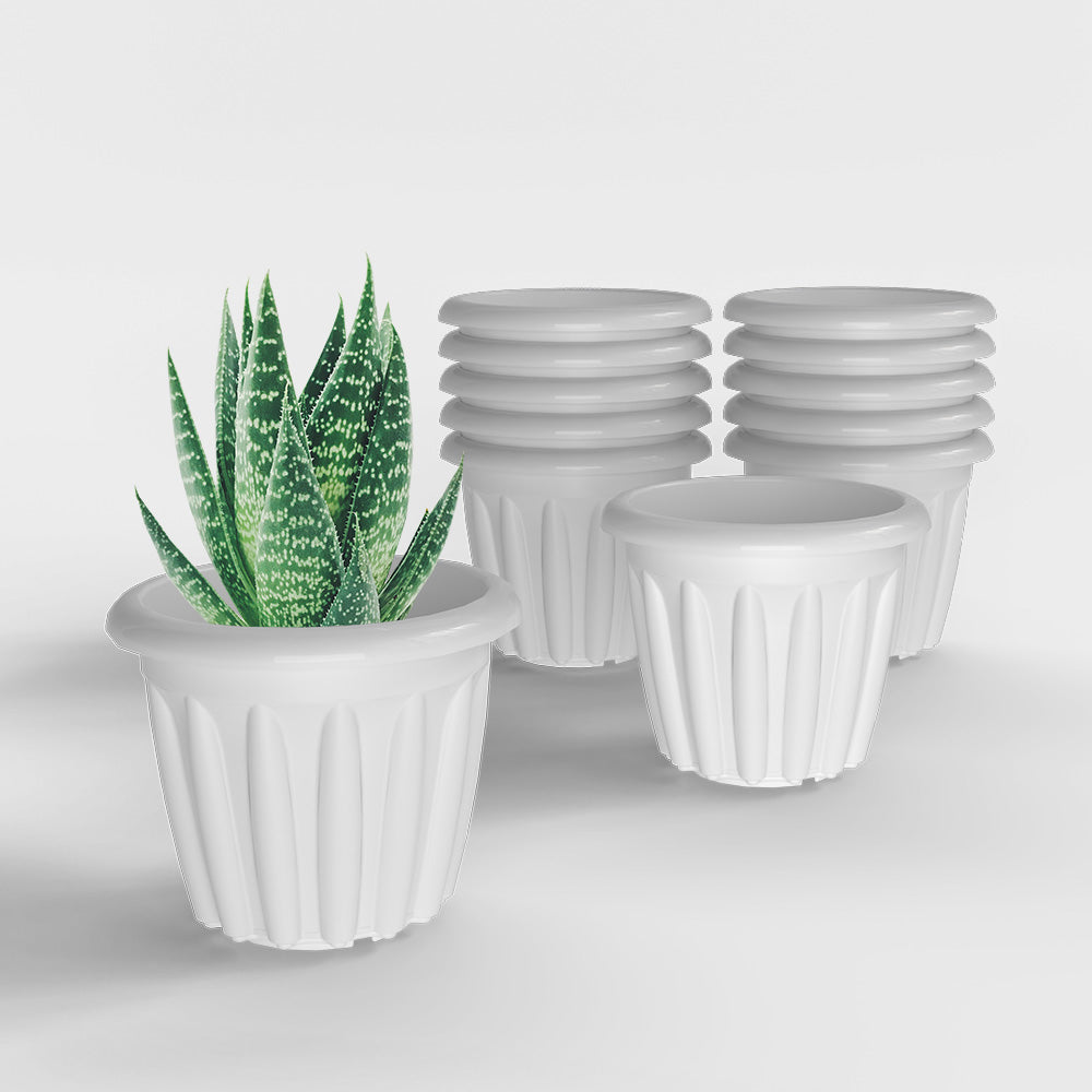SHERA | FLOOT PLANTER