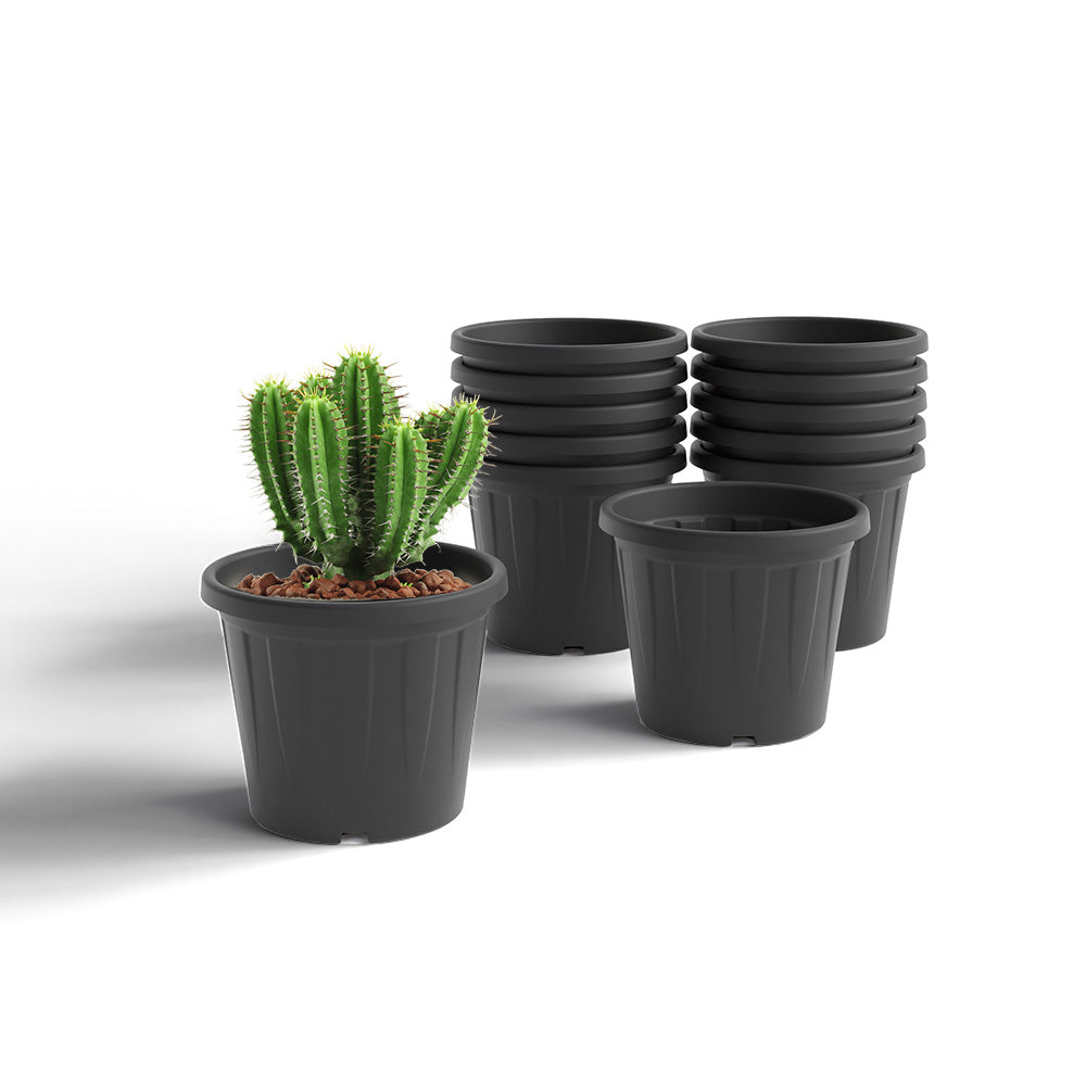 SHERA | CROWN PLANTER