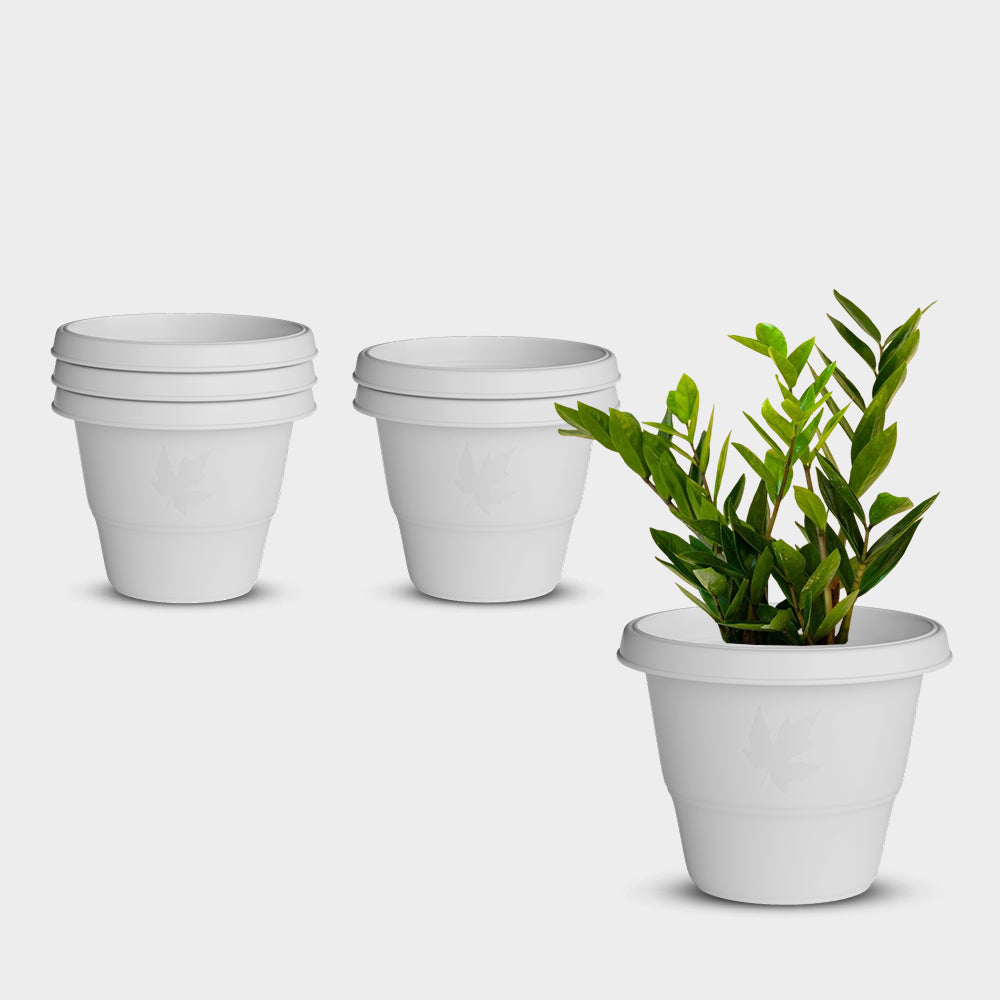 SHERA | RD PLANTER