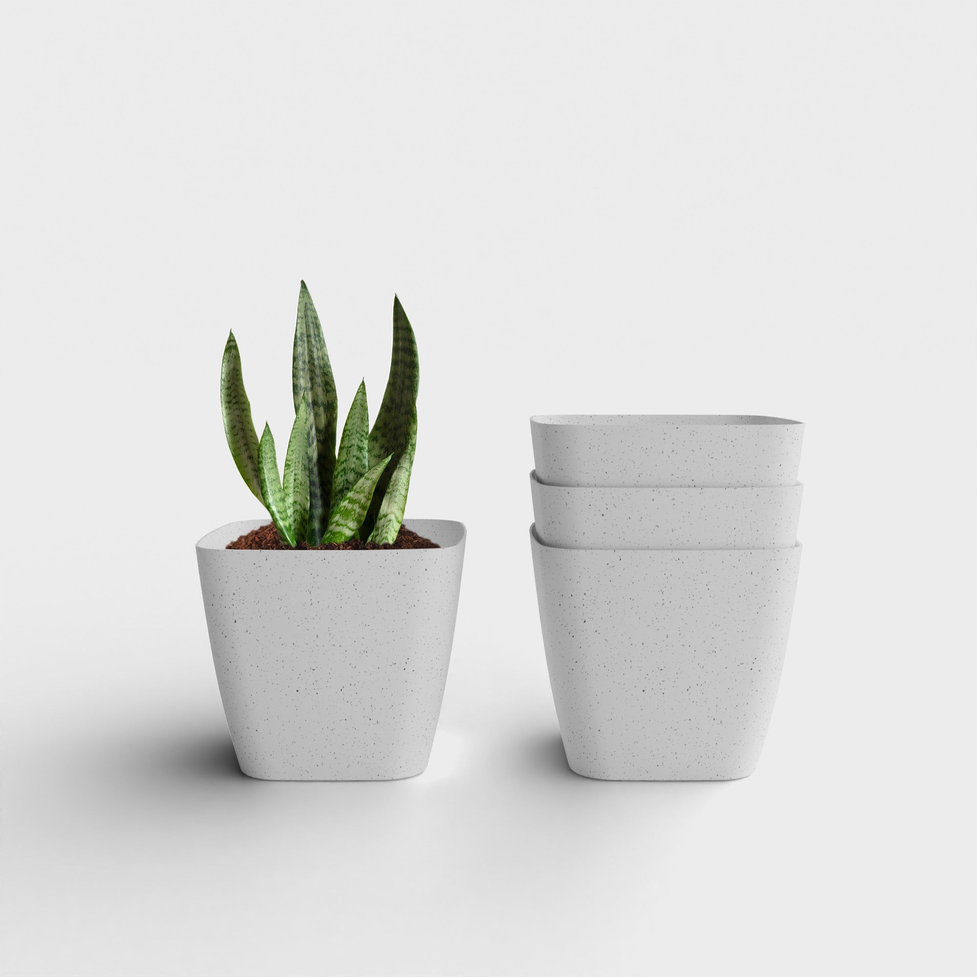 SHERA | STOIC PLANTER