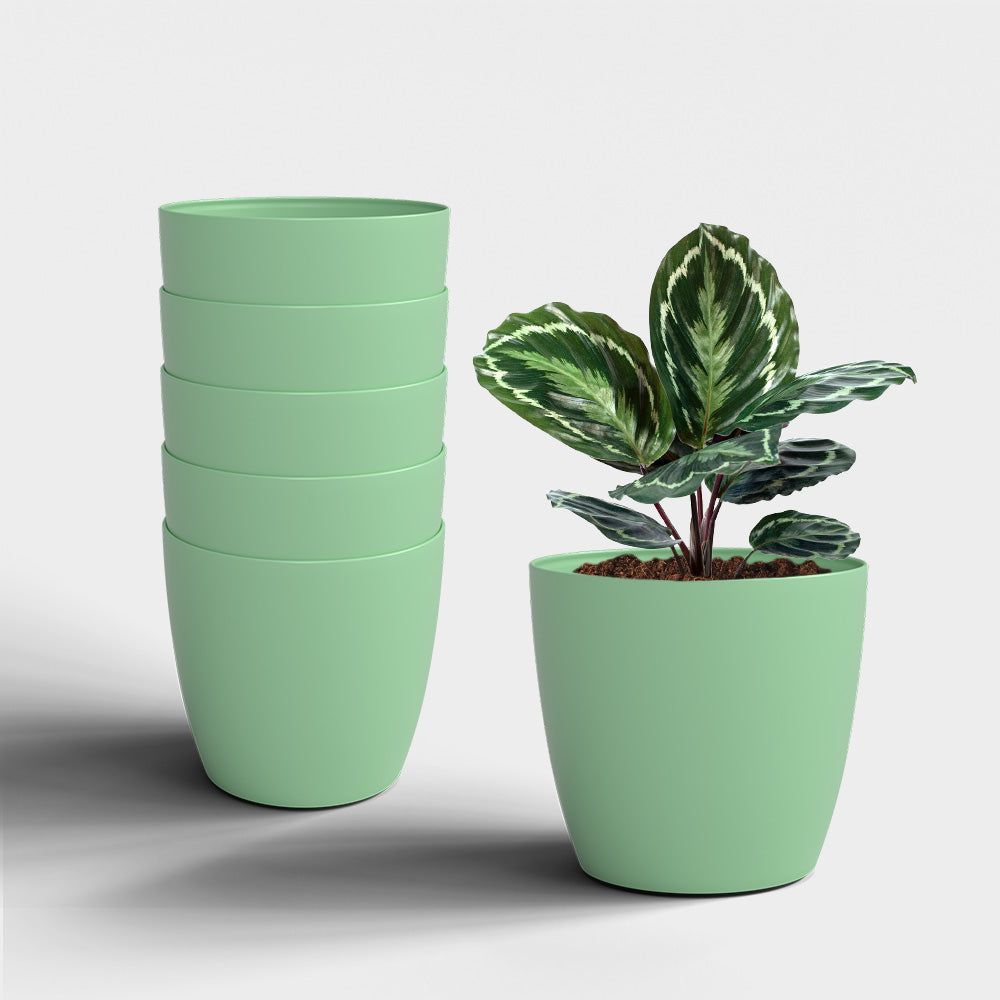 SHERA | STELLA PLANTER