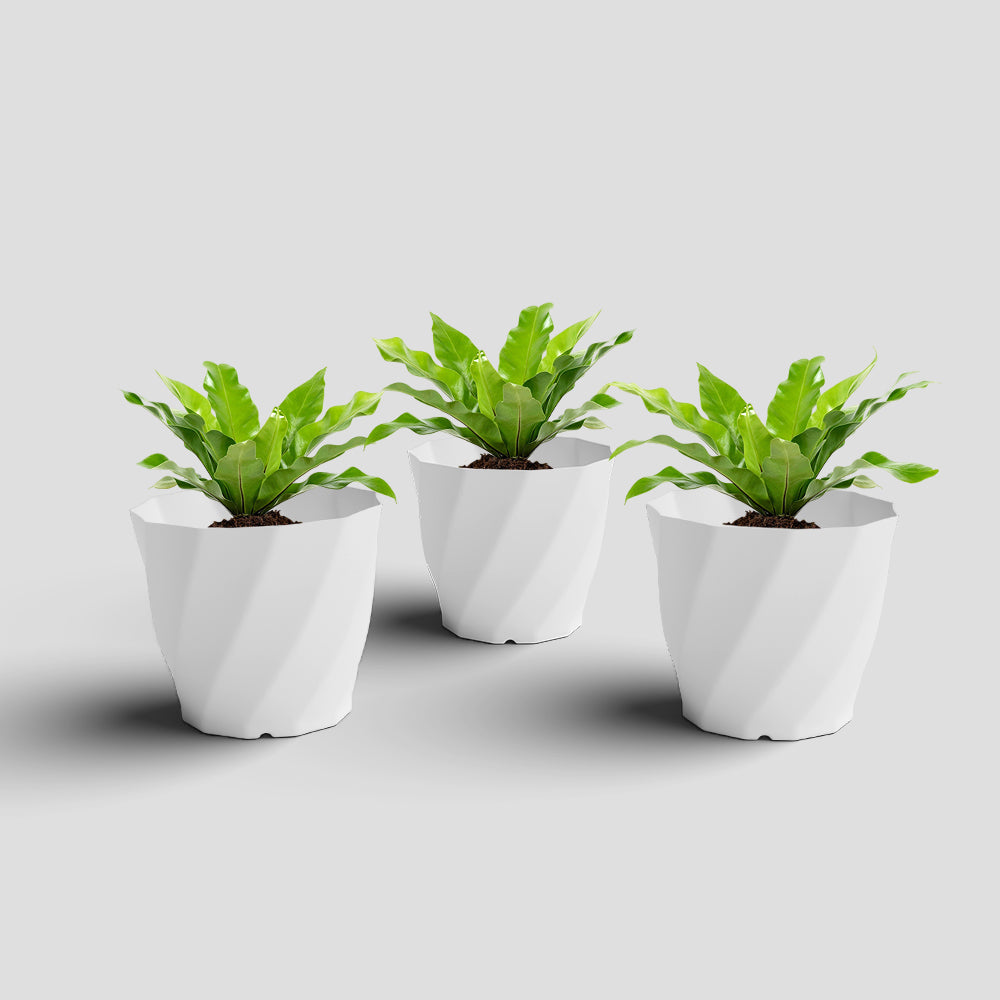 SHERA | SWIRL PLANTER