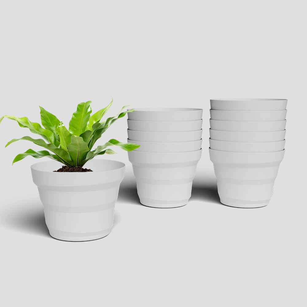 SHERA | RING PLANTER