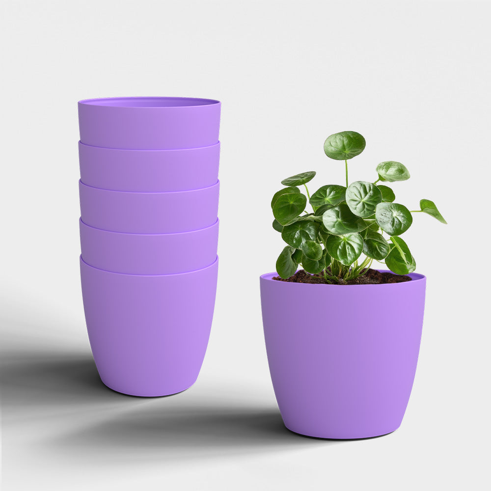 SHERA | STELLA PLANTER
