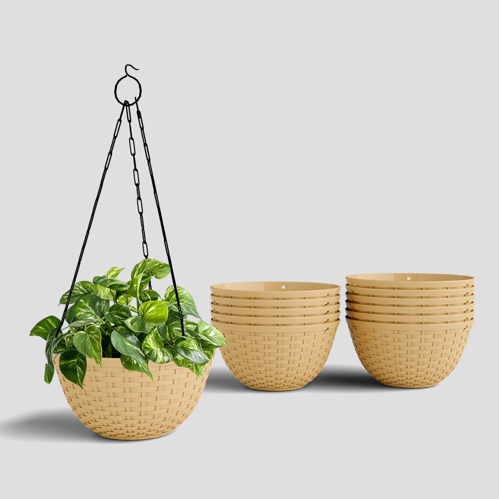 SHERA | CHICK HANGING