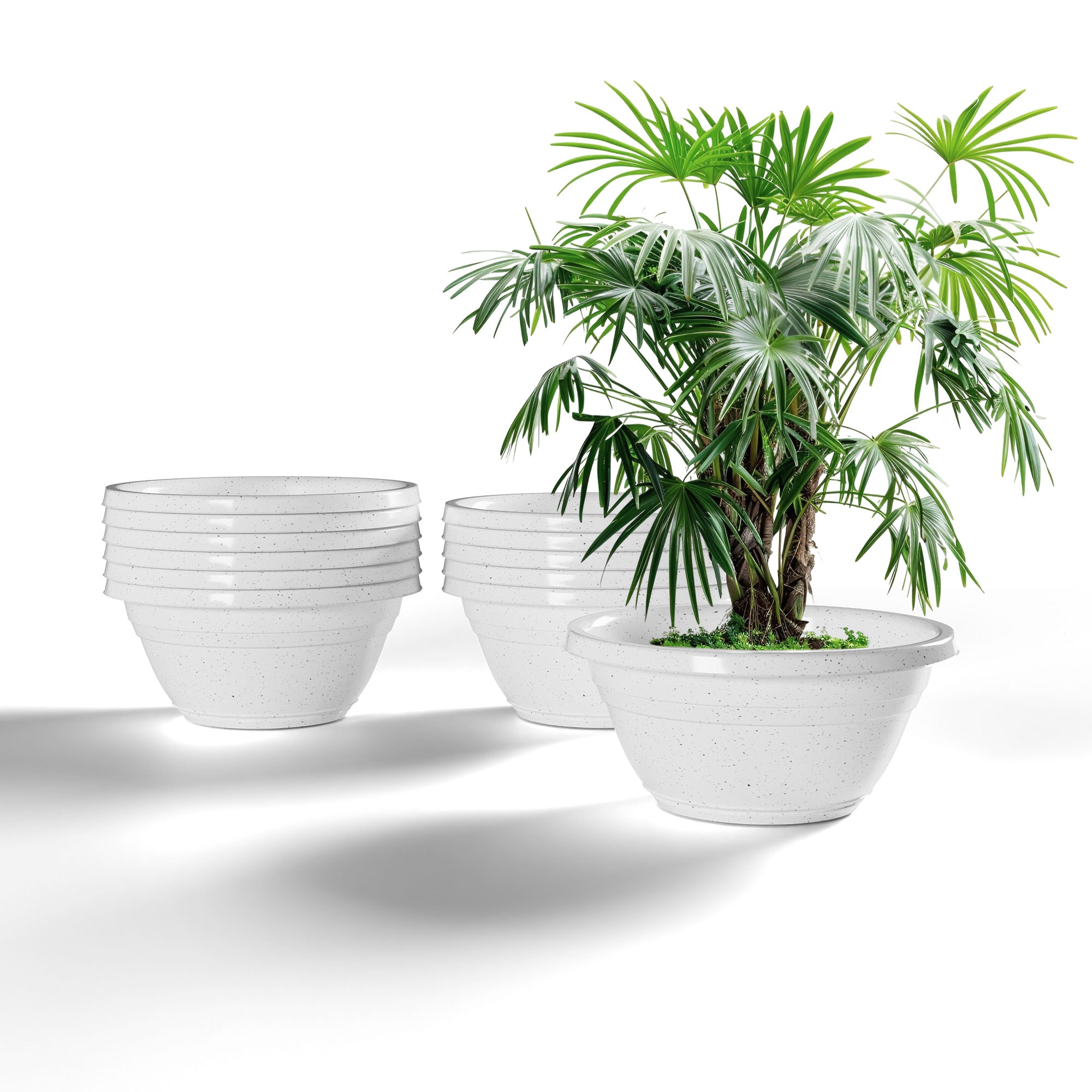 SHERA | BOTANICA BONSAI KTR PLANTER