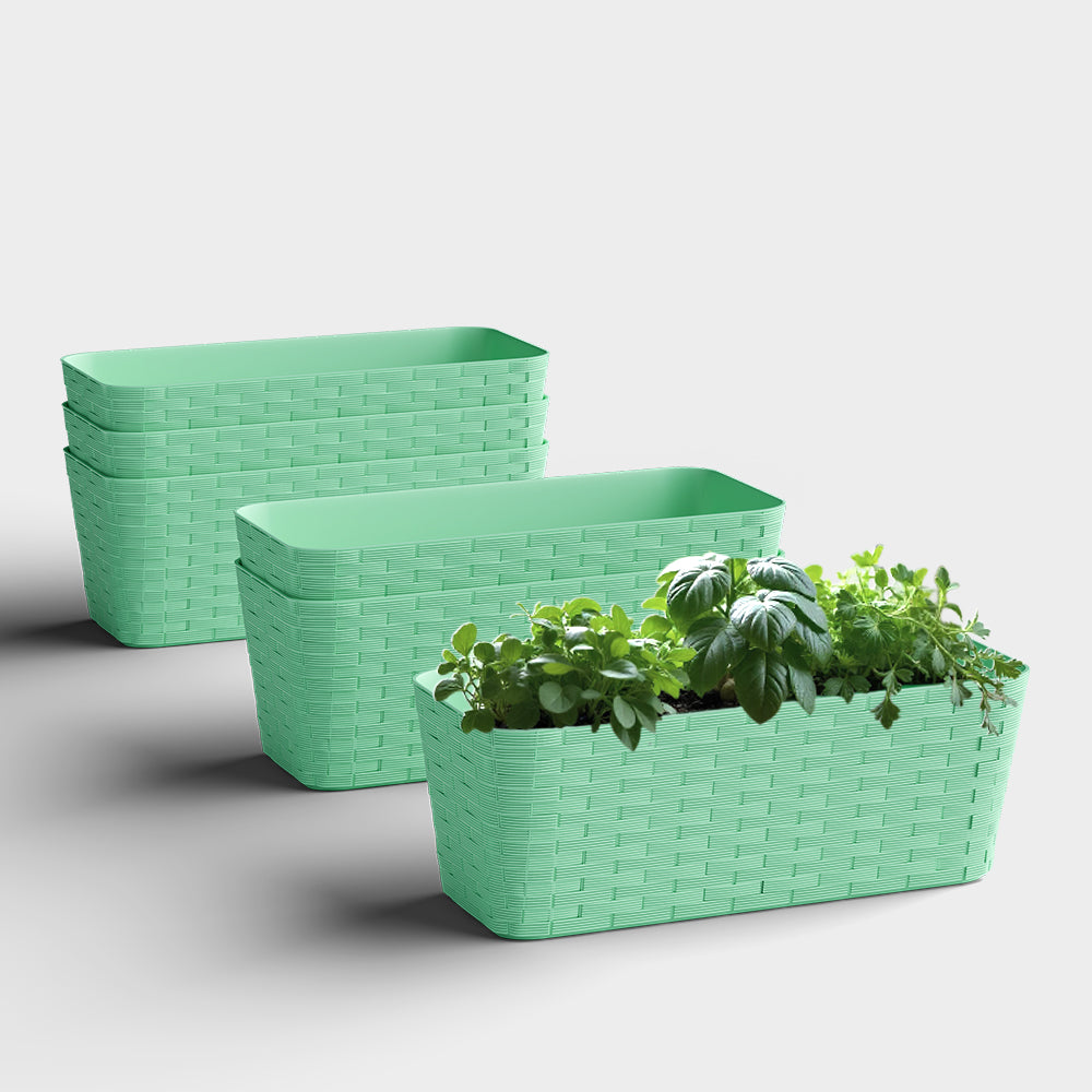 SHERA | RATTAN TRAY