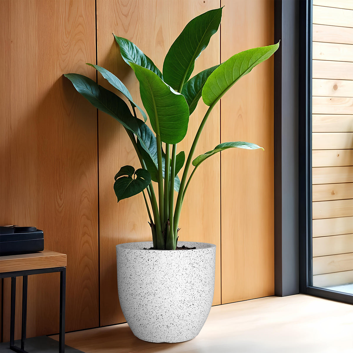 FOX B | P CUP PLANTER 6 INCH TO 15 INCH