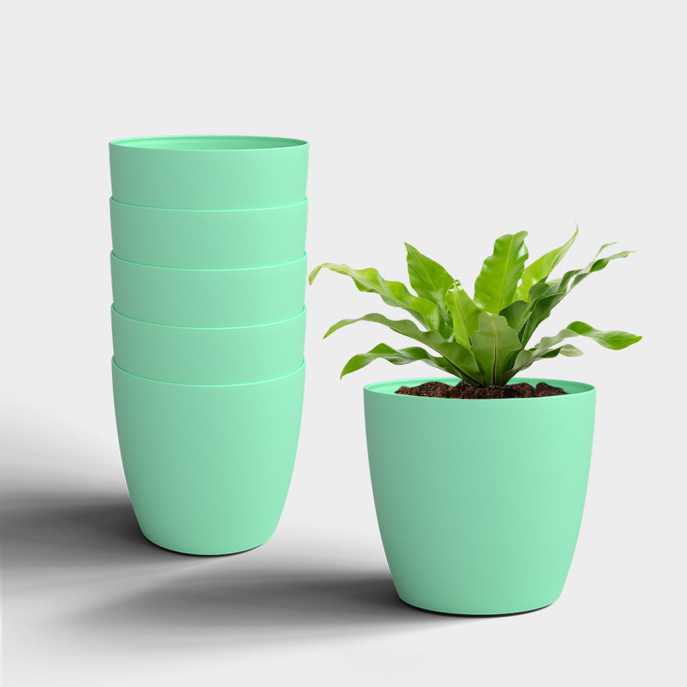 SHERA | STELLA PLANTER