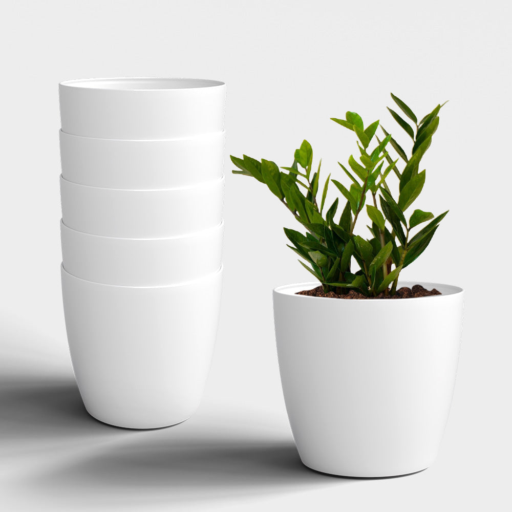 SHERA | STELLA PLANTER