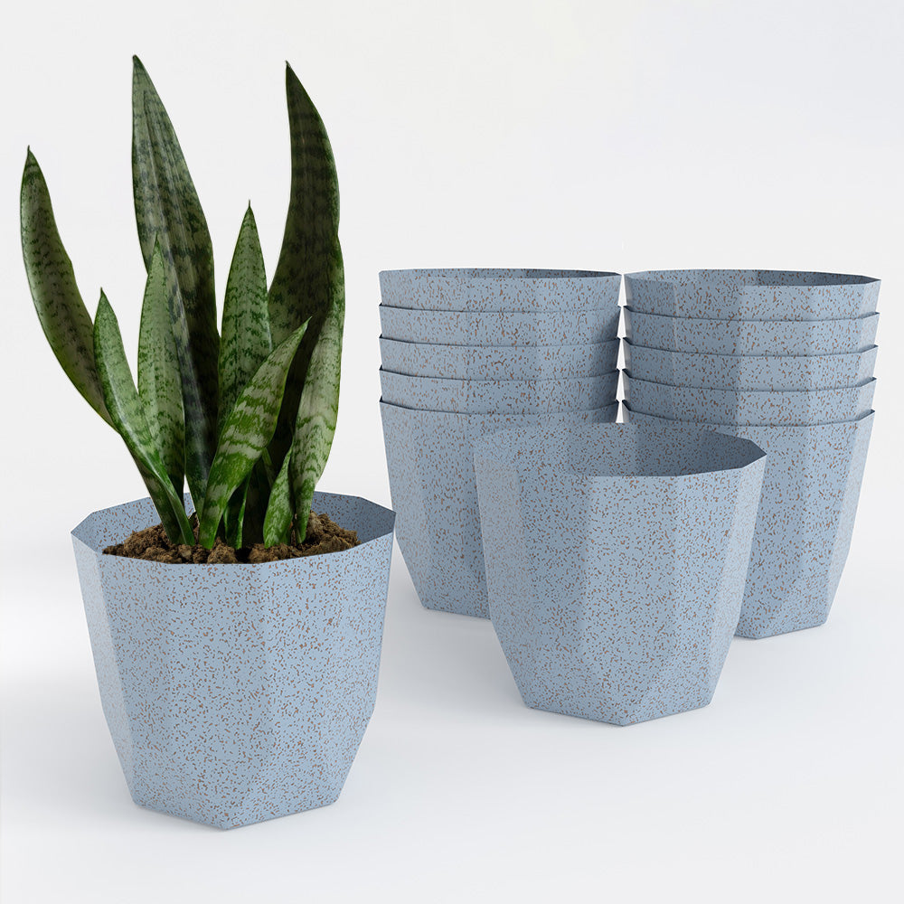 SHERA | HEXA BIO PLANTER