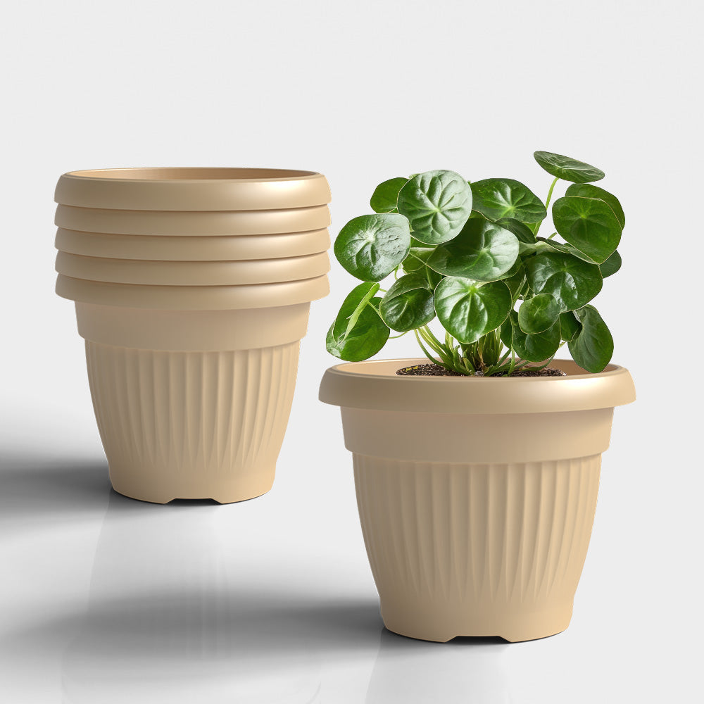 SHERA | BLOOM PLANTER