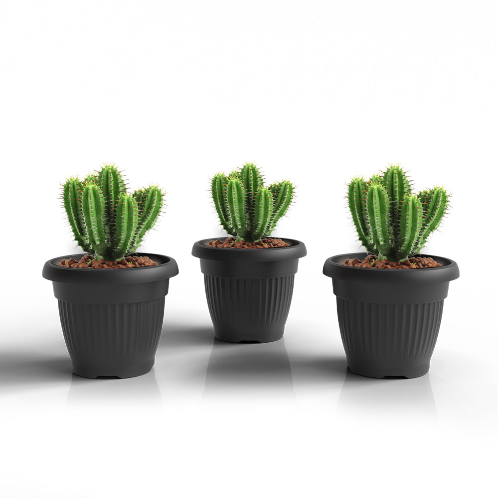 SHERA | BLOOM PLANTER