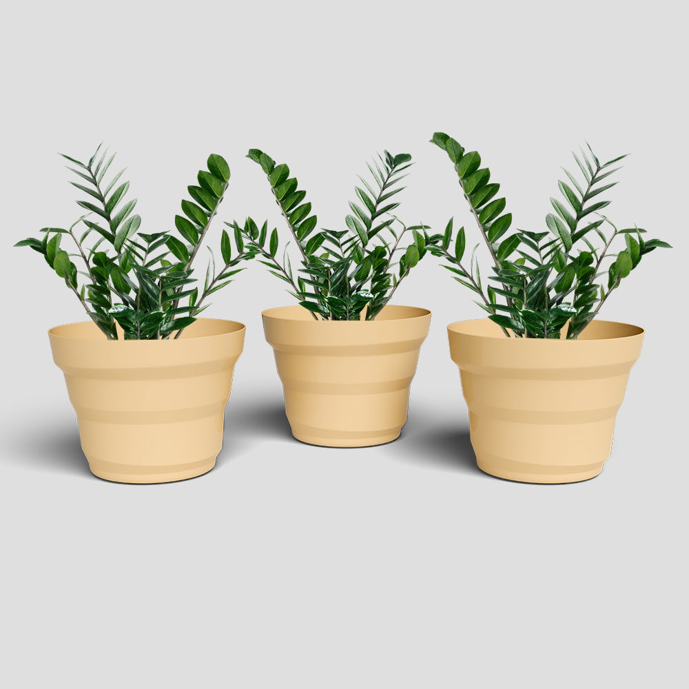 SHERA | RING PLANTER