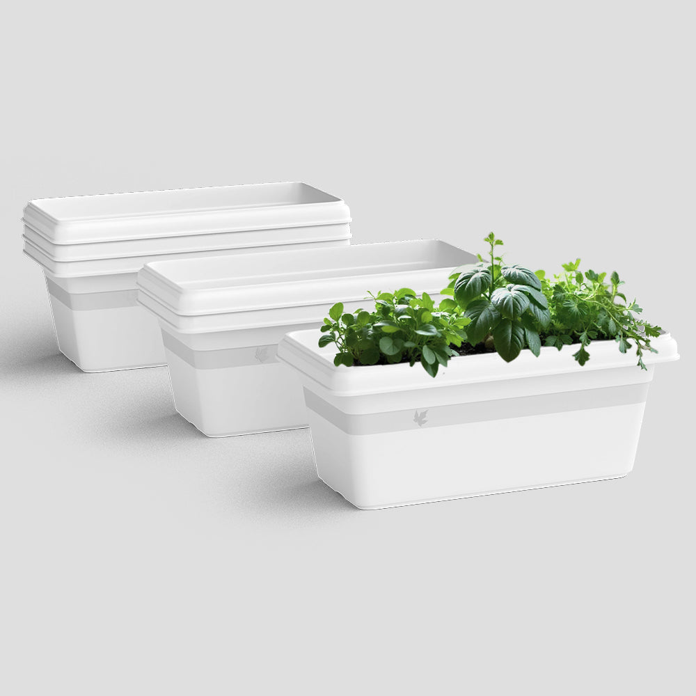 SHERA | TP PLANTER