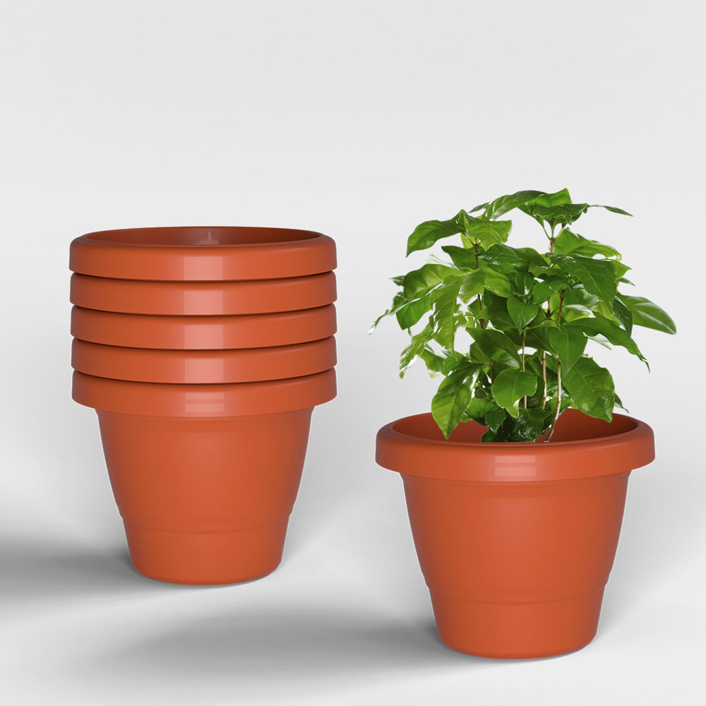 SHERA | SD PLANTER