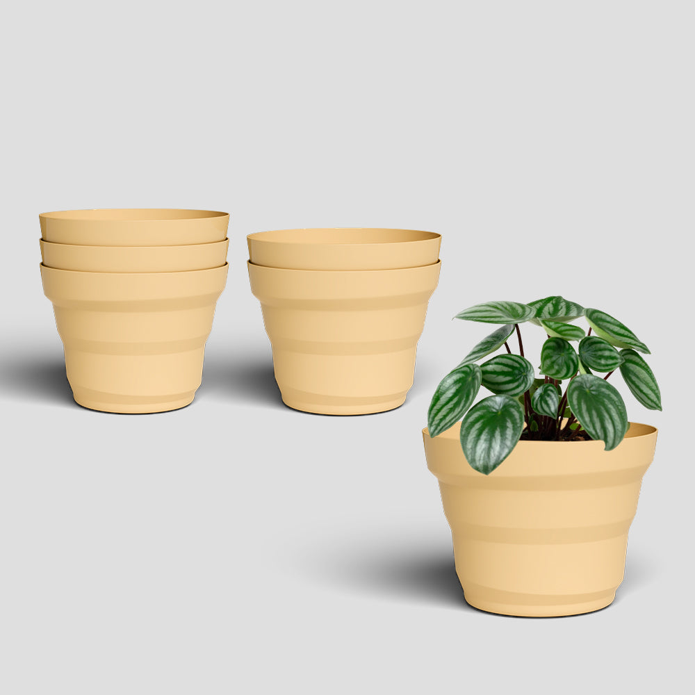 SHERA | RING PLANTER