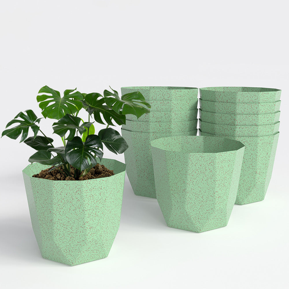 SHERA | HEXA BIO PLANTER