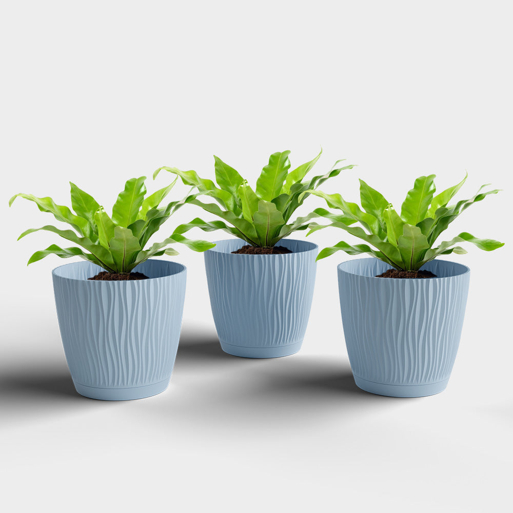 SHERA | EVA PLANTER