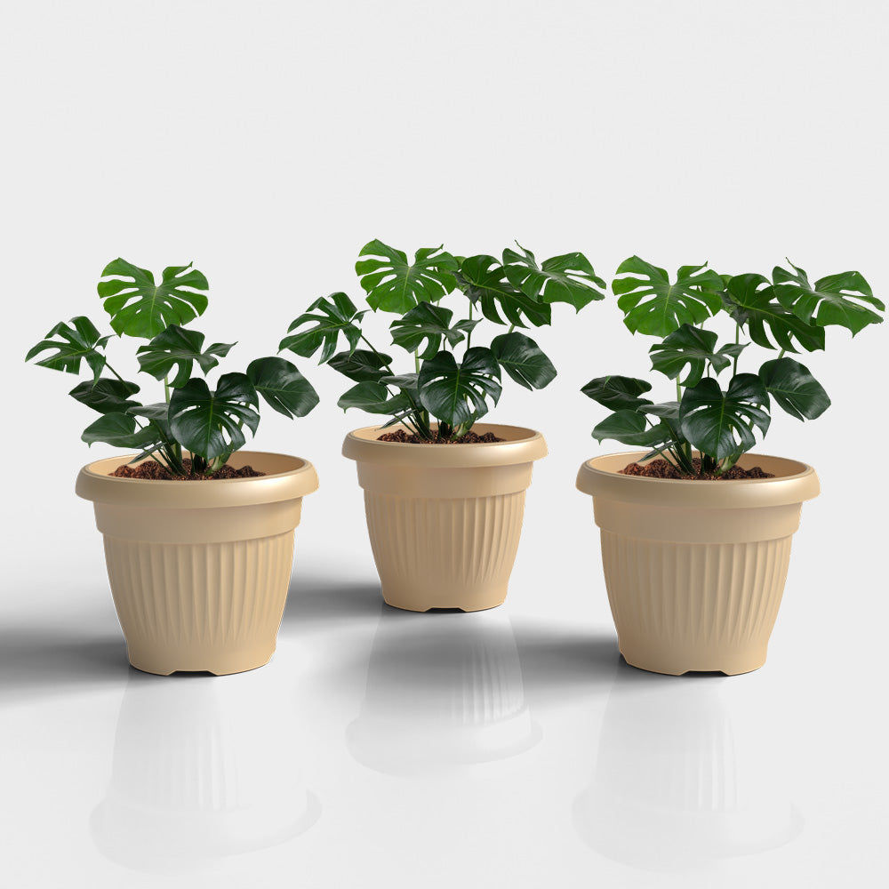 SHERA | BLOOM PLANTER