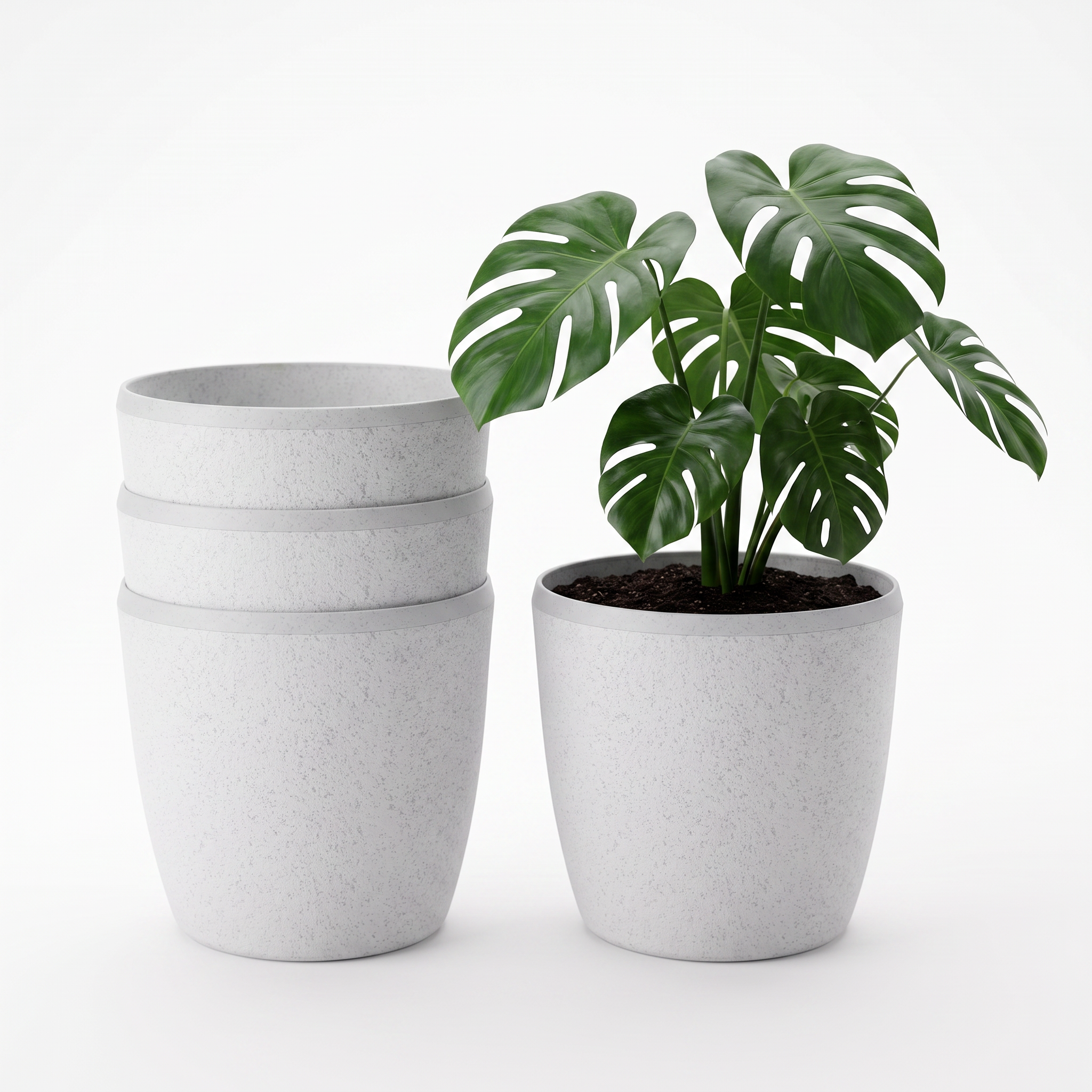 SHERA | STELLA E PLANTER