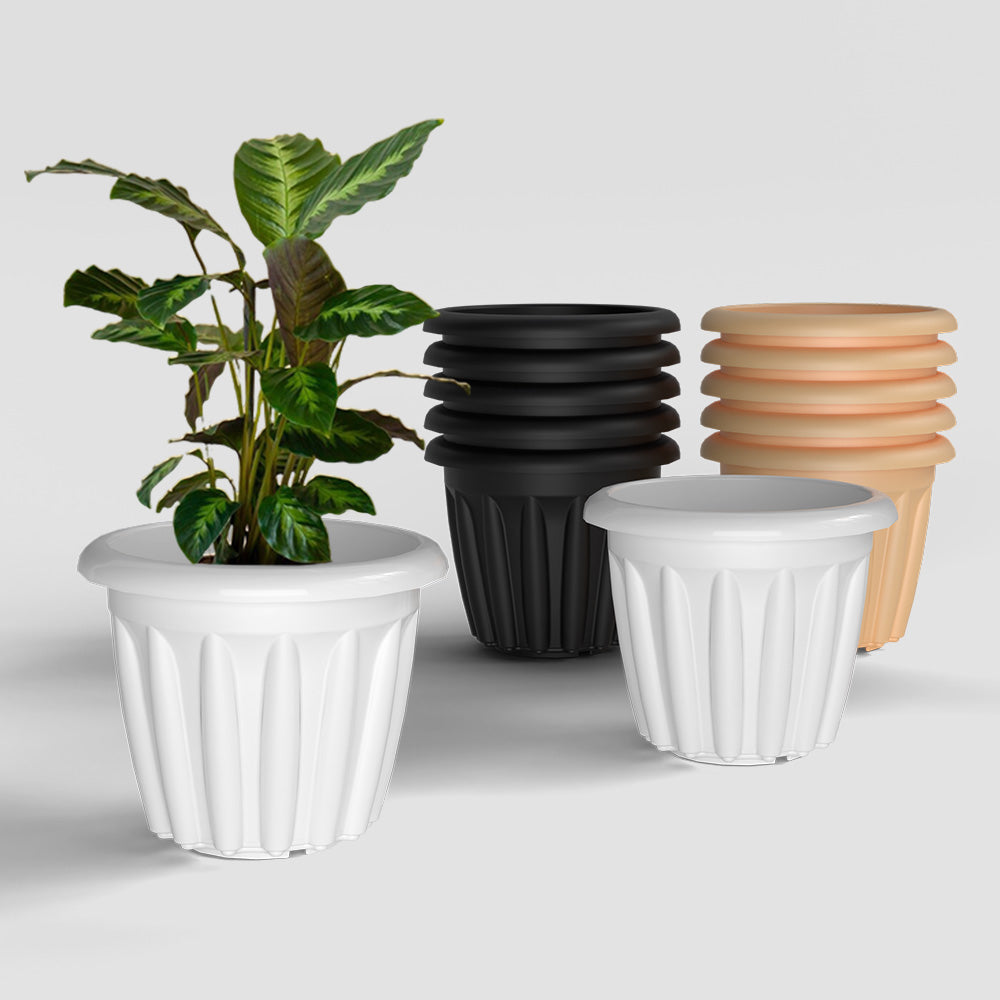 SHERA | FLOOT PLANTER