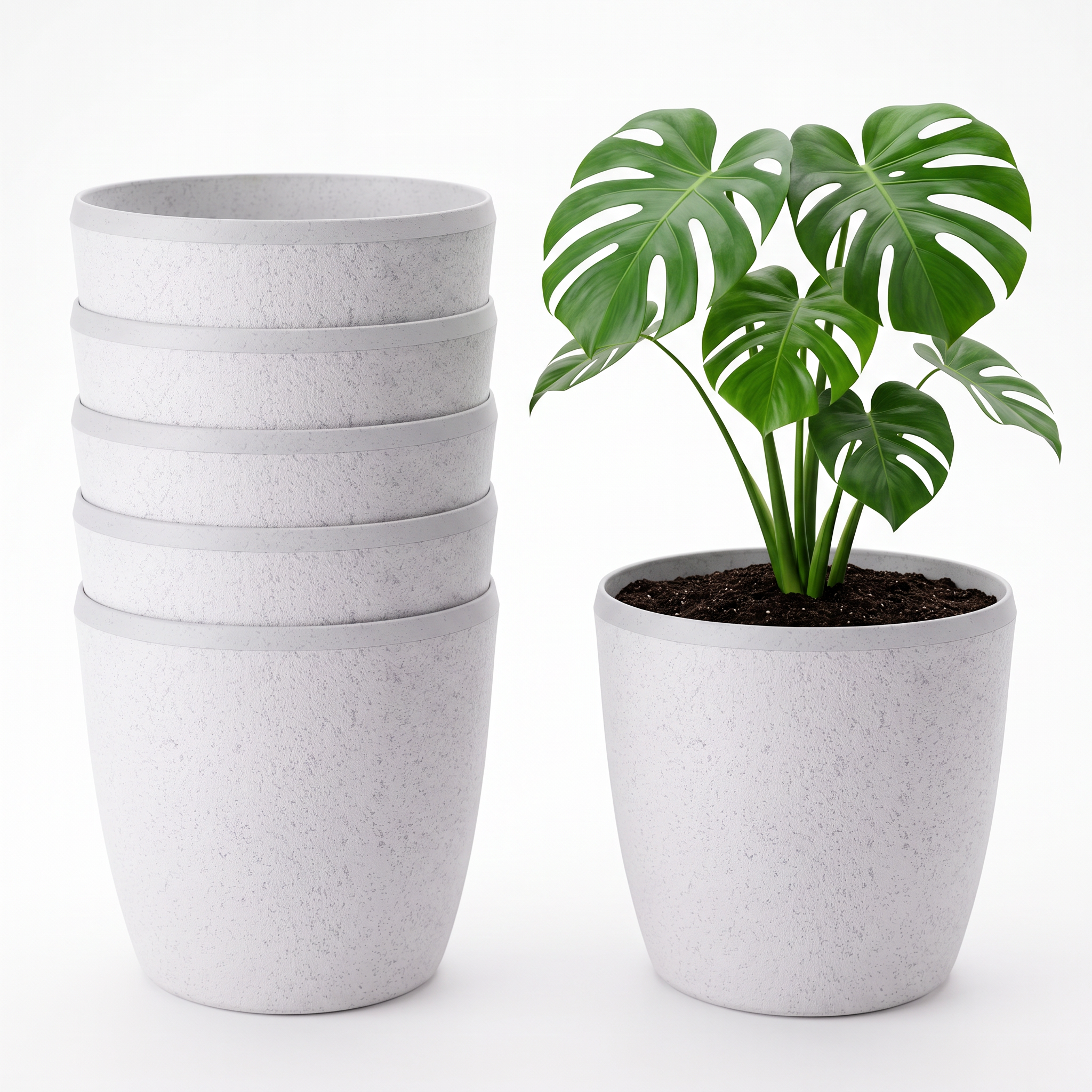 SHERA | STELLA E PLANTER