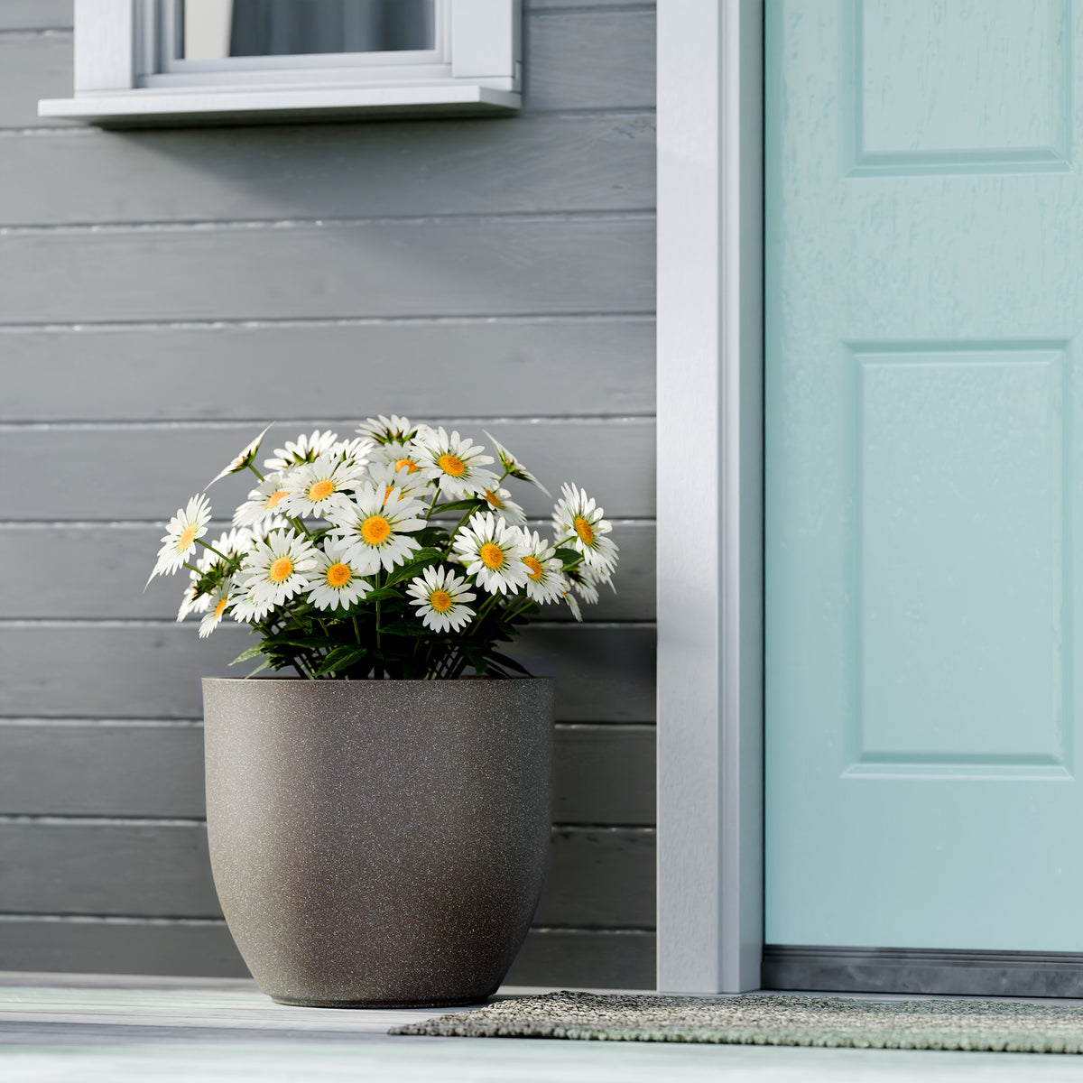 FOX B | P CUP PLANTER 6 INCH TO 15 INCH