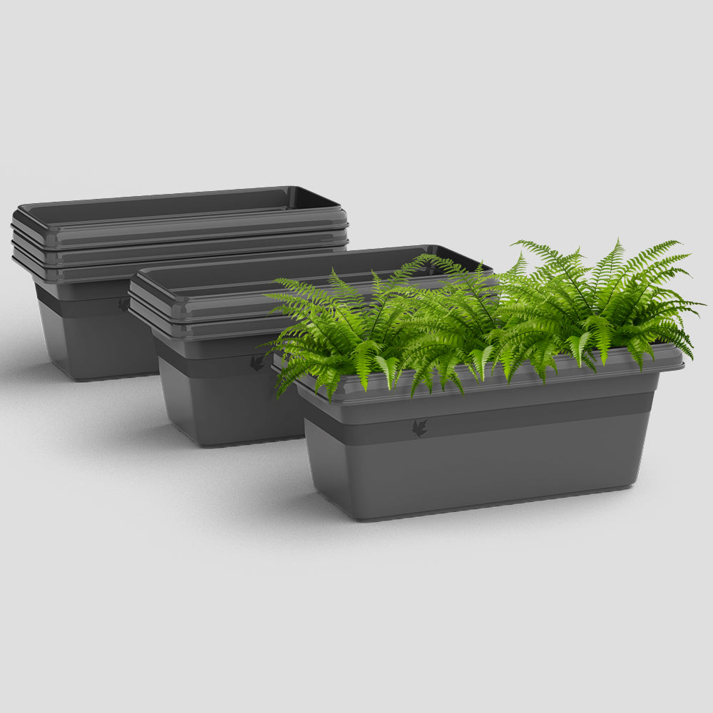 SHERA | TP PLANTER