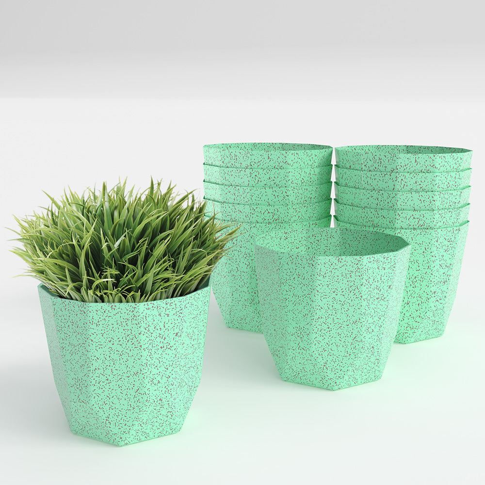 SHERA | HEXA BIO PLANTER