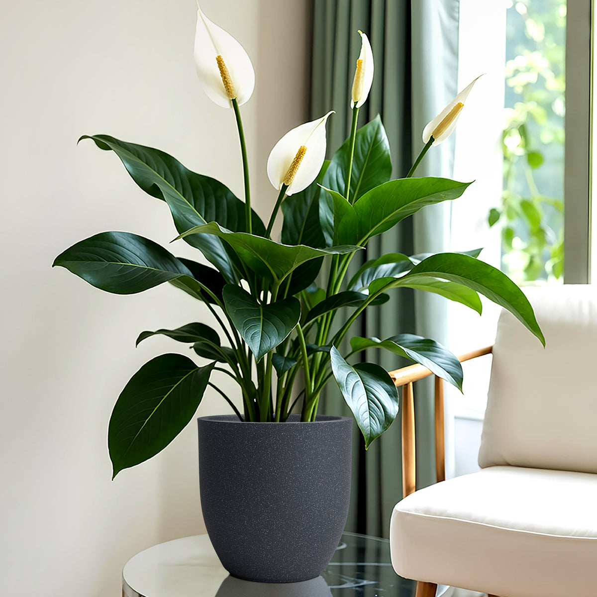 FOX B | P CUP PLANTER 6 INCH TO 15 INCH