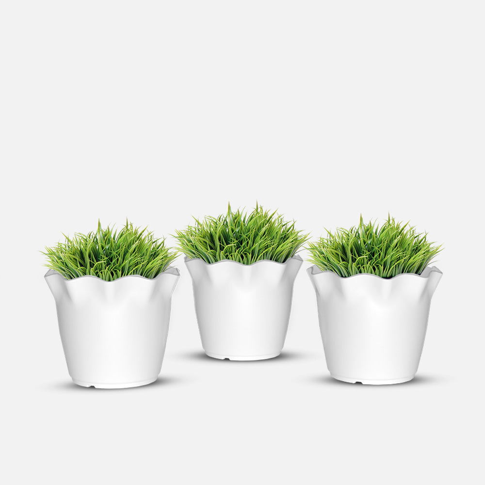 SHERA | FLOWER PLANTER