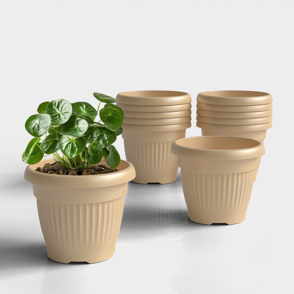 SHERA | BLOOM PLANTER