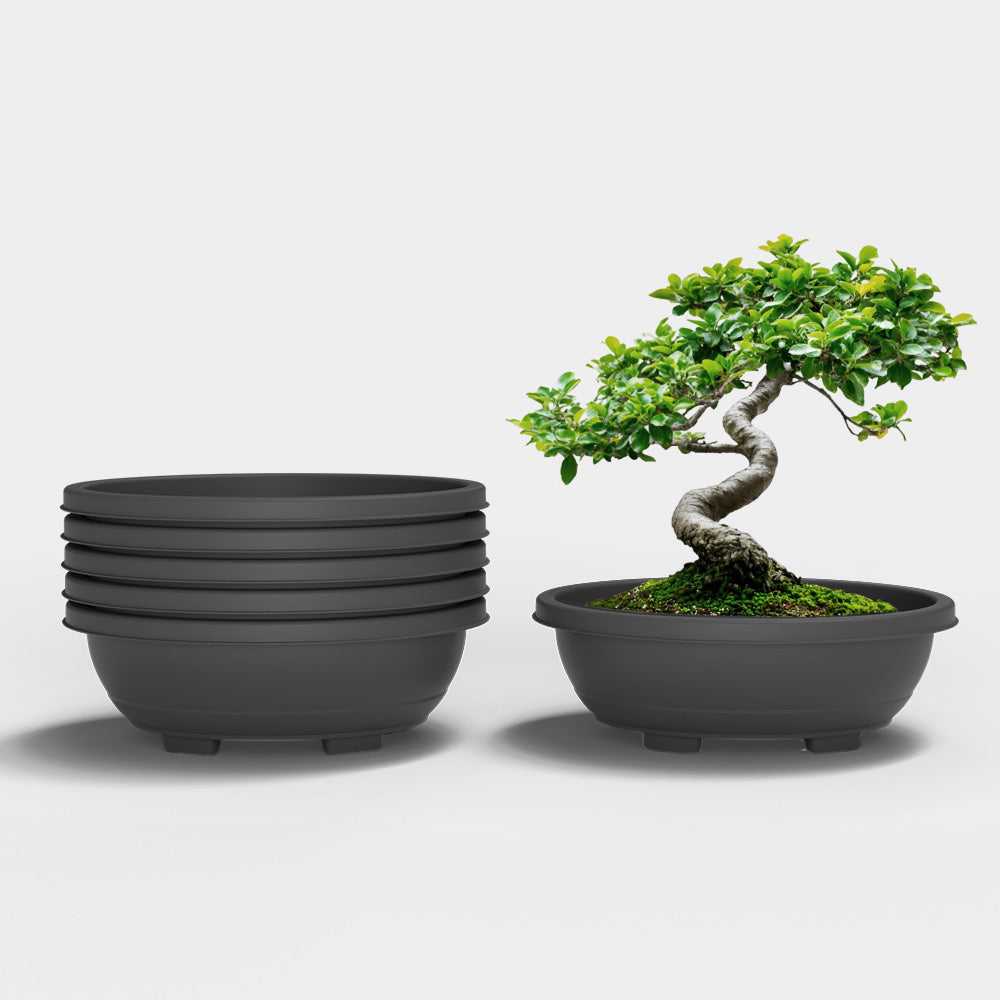 SHERA | BOTANICA TRAY PLANTER