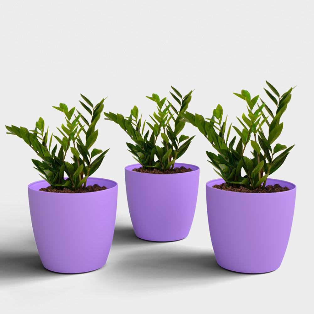 SHERA | STELLA PLANTER