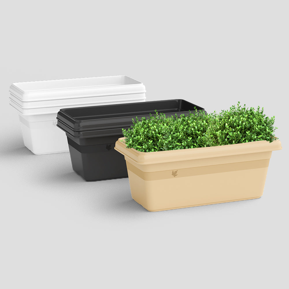 SHERA | TP PLANTER