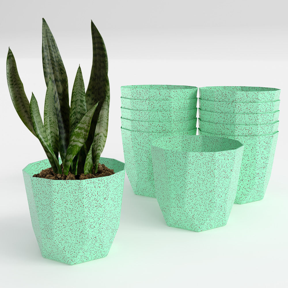 SHERA | HEXA BIO PLANTER